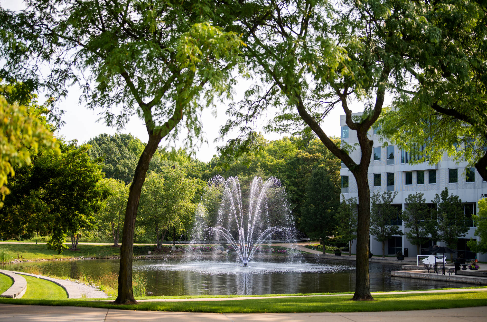 The fountain in Zumberge Pond on a summer day